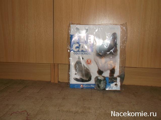 The Cat Collection №26 Балийская кошка Фото