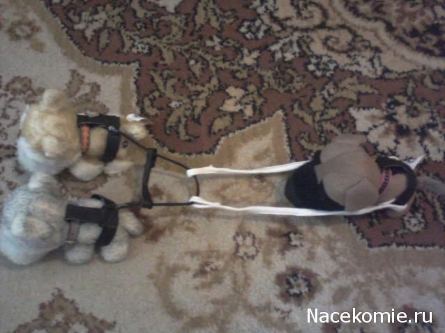 The Dog Collection Болталка