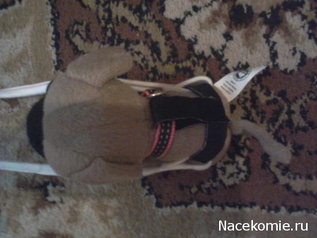 The Dog Collection Болталка