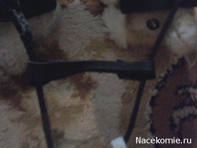 The Dog Collection Болталка