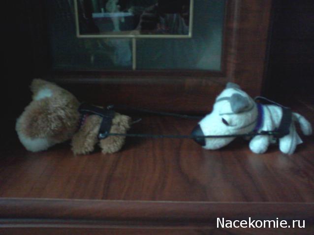 The Dog Collection Болталка