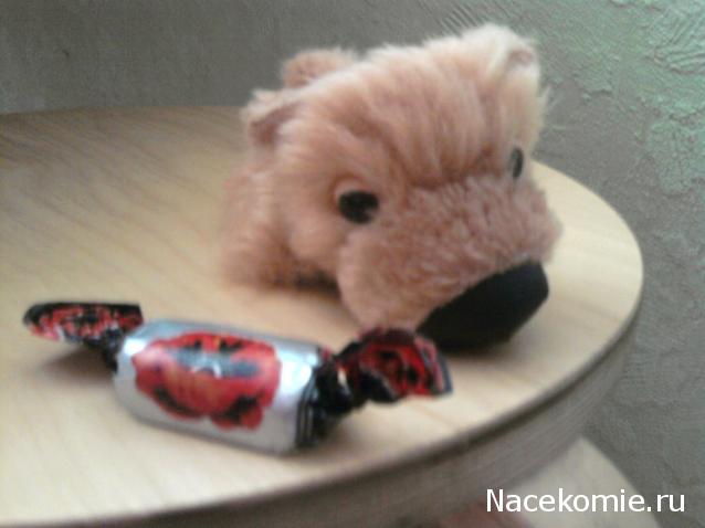 The Dog Collection №33 Померанский Шпиц