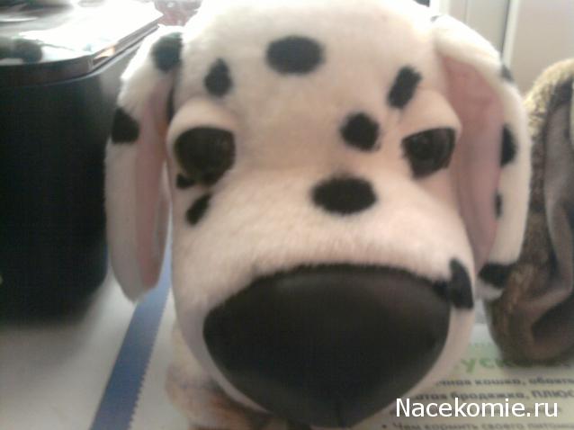 The Dog Collection Болталка