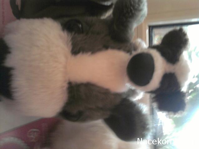 The Dog Collection Болталка