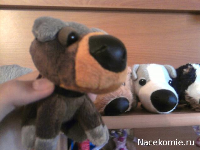 The Dog Collection Болталка