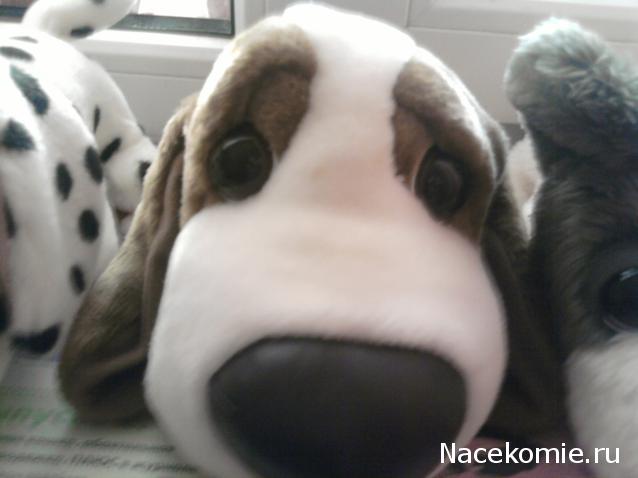 The Dog Collection Болталка