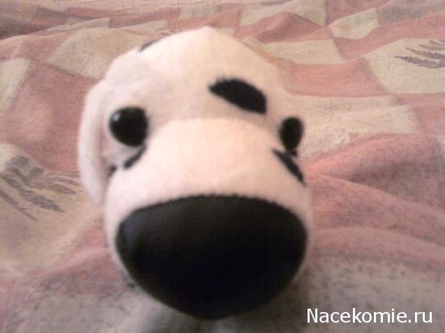 The Dog Collection №6 Далматин