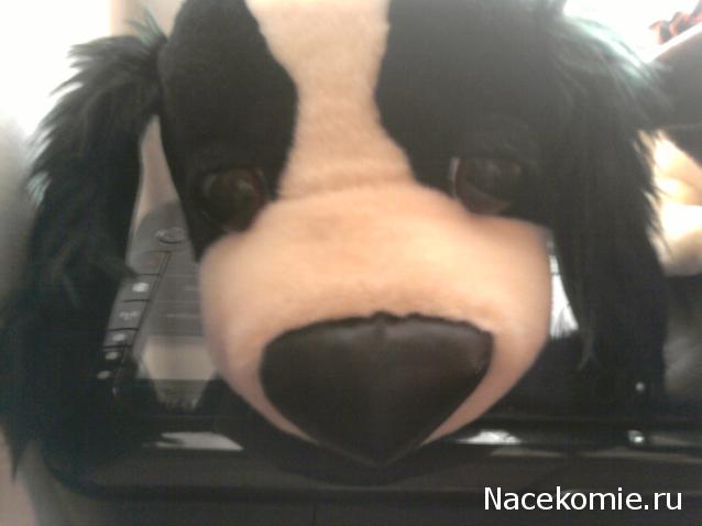 The Dog Collection Болталка