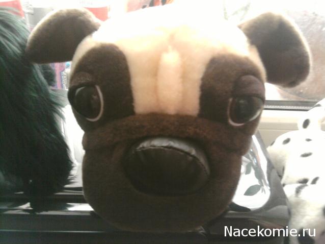 The Dog Collection Болталка