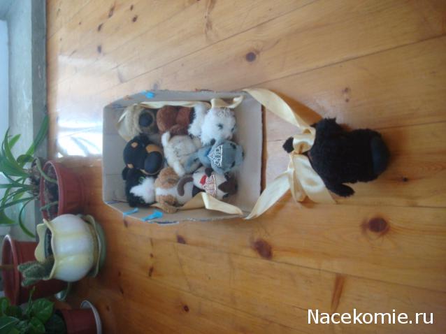 Кошкин дом. Болталка The Cat Collection