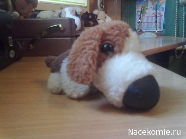 The Dog Collection №22 Бигль