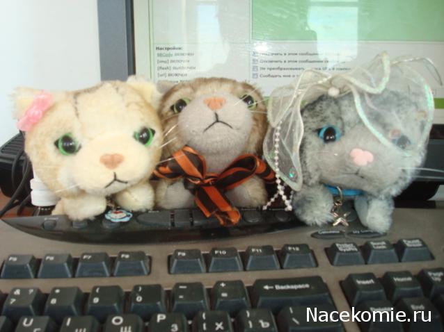 Кошкин дом. Болталка The Cat Collection