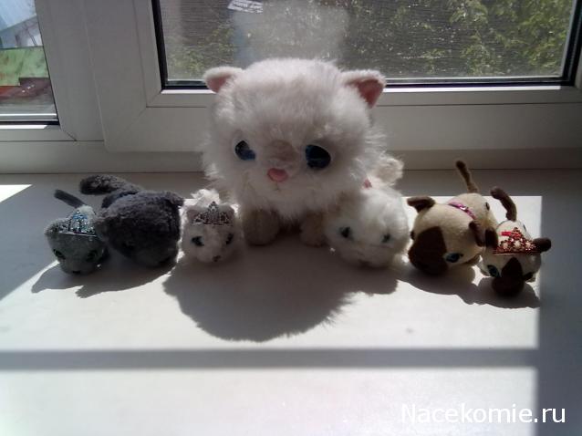 Кошкин дом. Болталка The Cat Collection