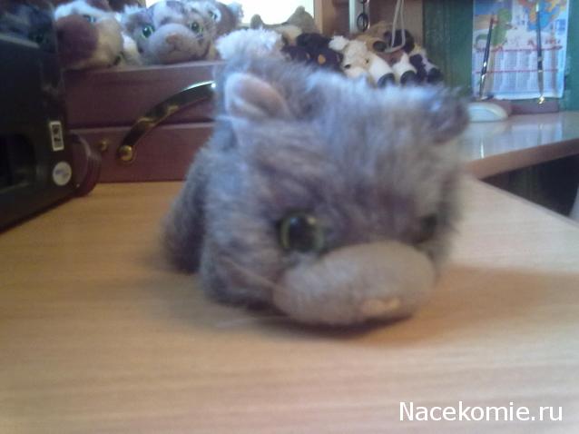 The Cat Collection №13 Норвежский лесной кот Фото