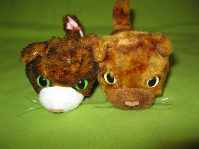 Кошкин дом. Болталка The Cat Collection