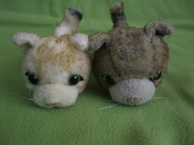 Кошкин дом. Болталка The Cat Collection