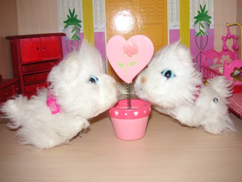 Кошкин дом. Болталка The Cat Collection