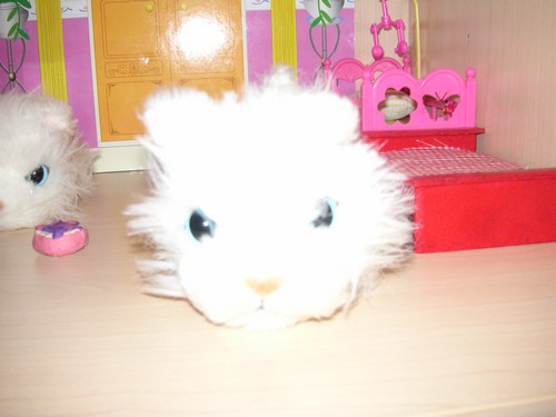 Кошкин дом. Болталка The Cat Collection