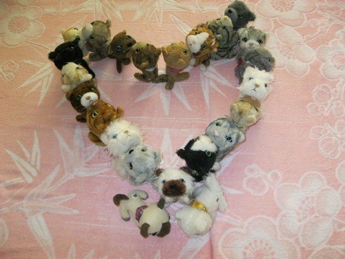 Кошкин дом. Болталка The Cat Collection