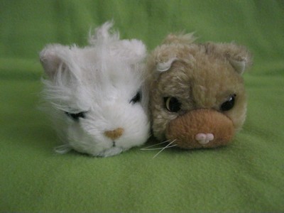 Кошкин дом. Болталка The Cat Collection