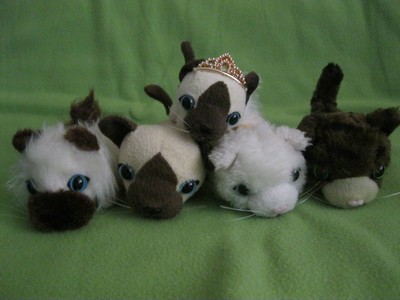 Кошкин дом. Болталка The Cat Collection