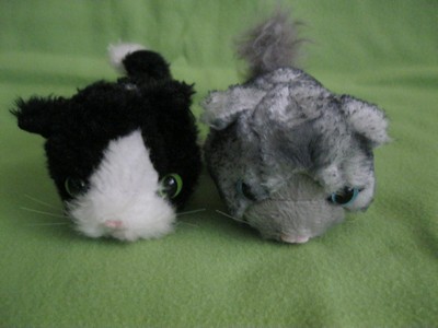 Кошкин дом. Болталка The Cat Collection