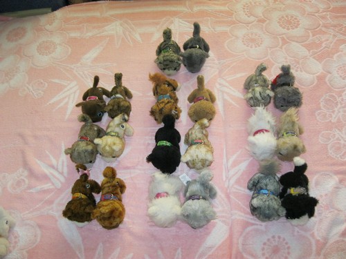 Кошкин дом. Болталка The Cat Collection