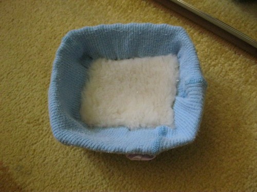 Кошкин дом. Болталка The Cat Collection