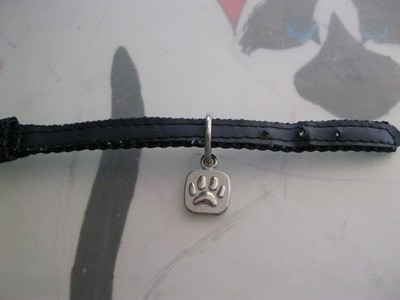 The Cat Collection № 3 Русская голубая Фото