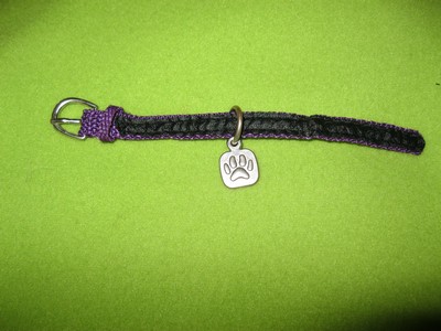 The Cat Collection №13 Норвежский лесной кот Фото