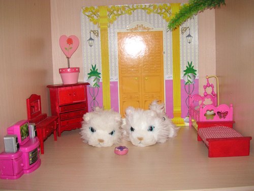 Кошкин дом. Болталка The Cat Collection