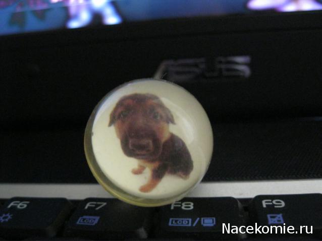 The Dog Collection Болталка