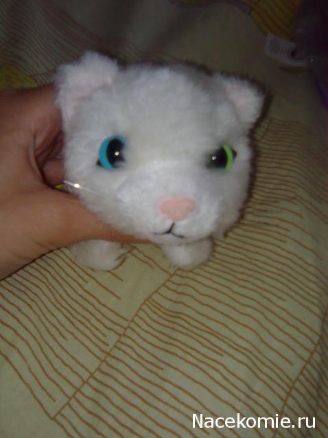 Кошкин дом. Болталка The Cat Collection