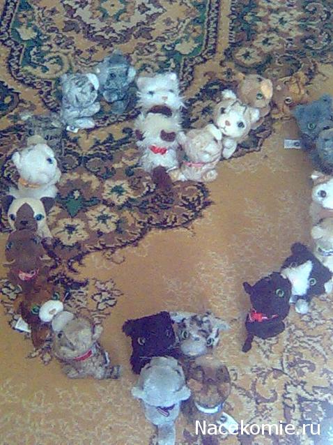 Кошкин дом. Болталка The Cat Collection