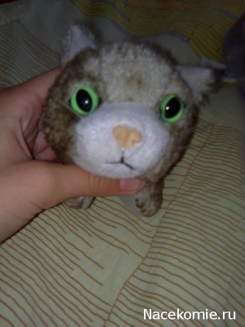 Кошкин дом. Болталка The Cat Collection