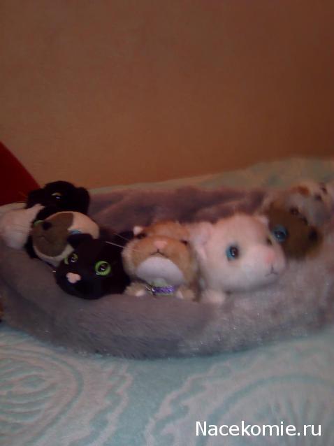 Кошкин дом. Болталка The Cat Collection