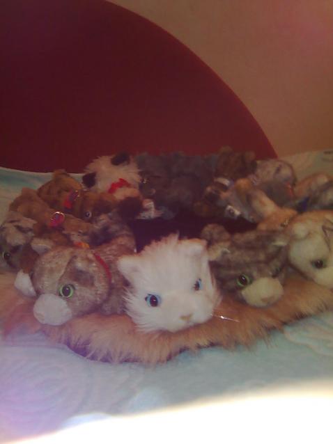 Кошкин дом. Болталка The Cat Collection