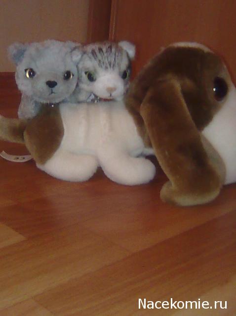 Кошкин дом. Болталка The Cat Collection