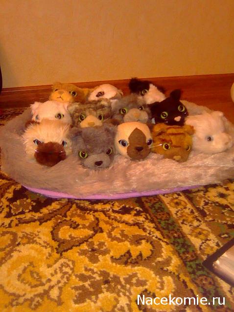 Кошкин дом. Болталка The Cat Collection