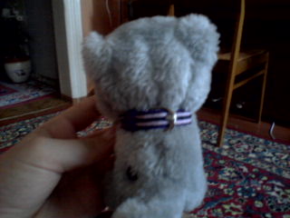 The Cat Collection №25 Британский короткошерстный кот Фото