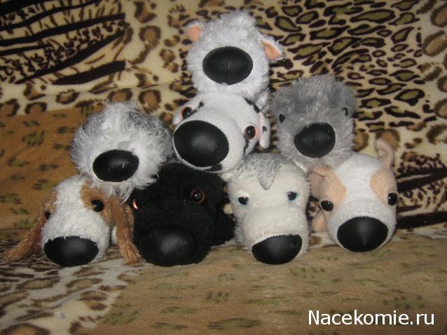 The Dog Collection Болталка