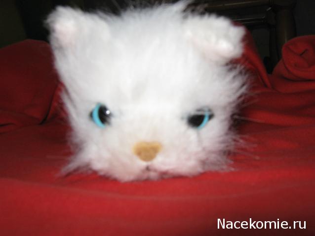 Кошкин дом. Болталка The Cat Collection