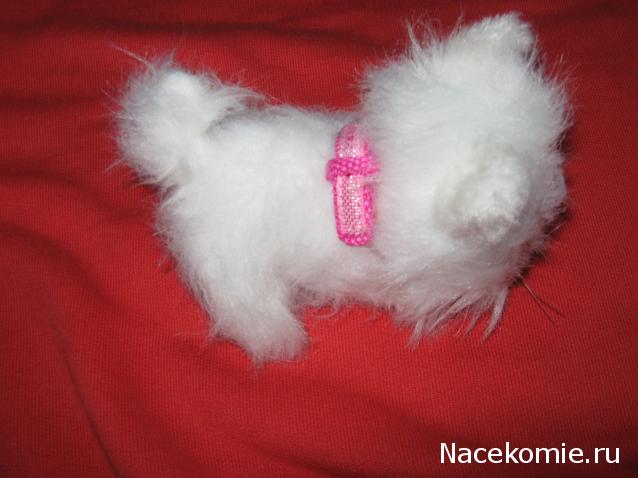 Кошкин дом. Болталка The Cat Collection