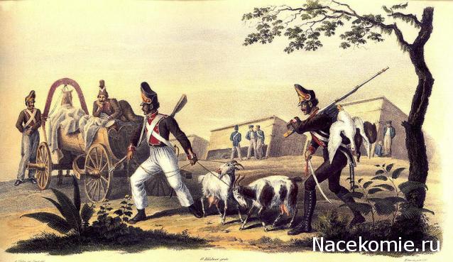 Наполеоновские Войны - График выхода и обсуждение