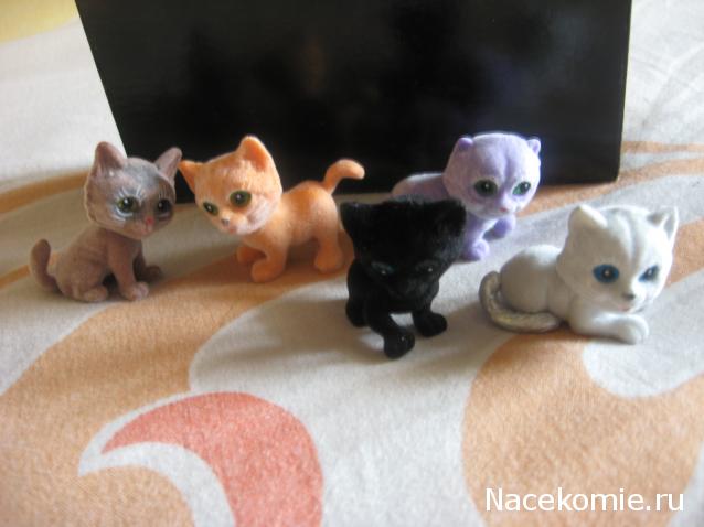 Кошкин дом. Болталка The Cat Collection