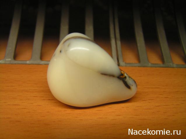 Энергия камней № 71 Опал (окатанный камень) фото, обсуждение