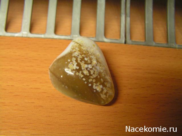 Энергия камней № 71 Опал (окатанный камень) фото, обсуждение