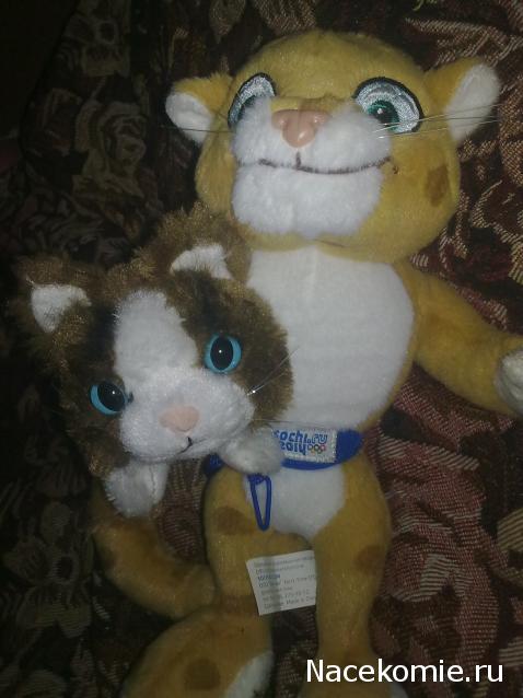 The Cat Collection №28 Рэгдолл Фото