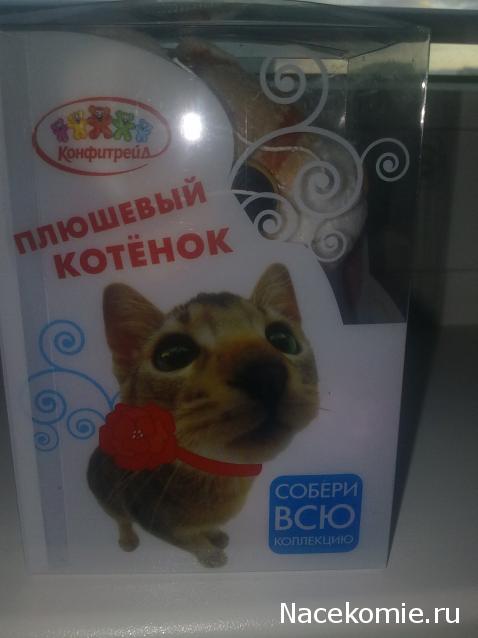 Кошкин дом. Болталка The Cat Collection