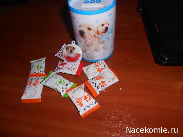 The Dog Collection Болталка